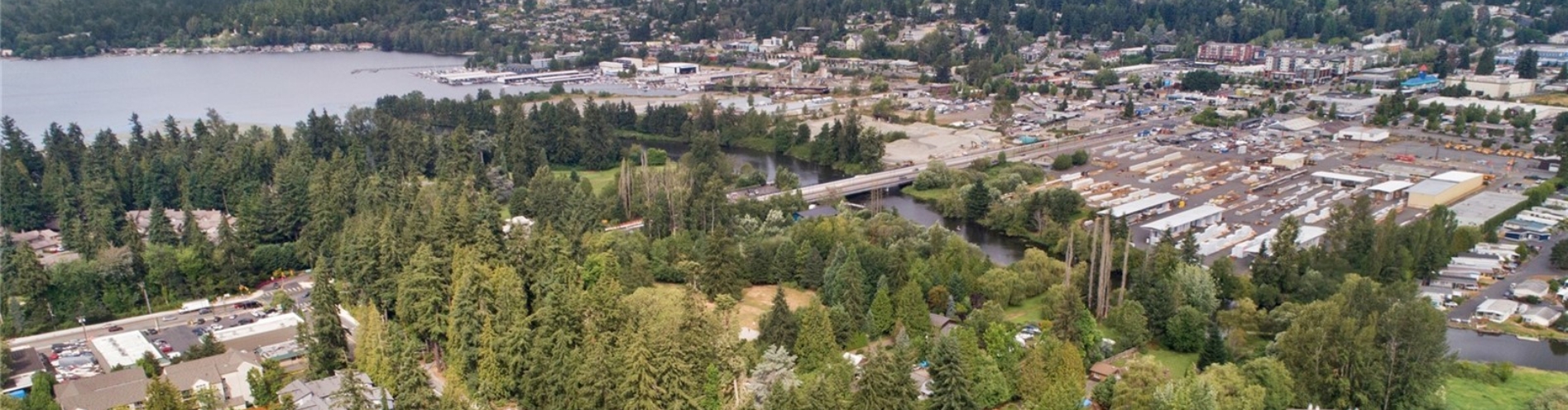 Endodontist in Seattle